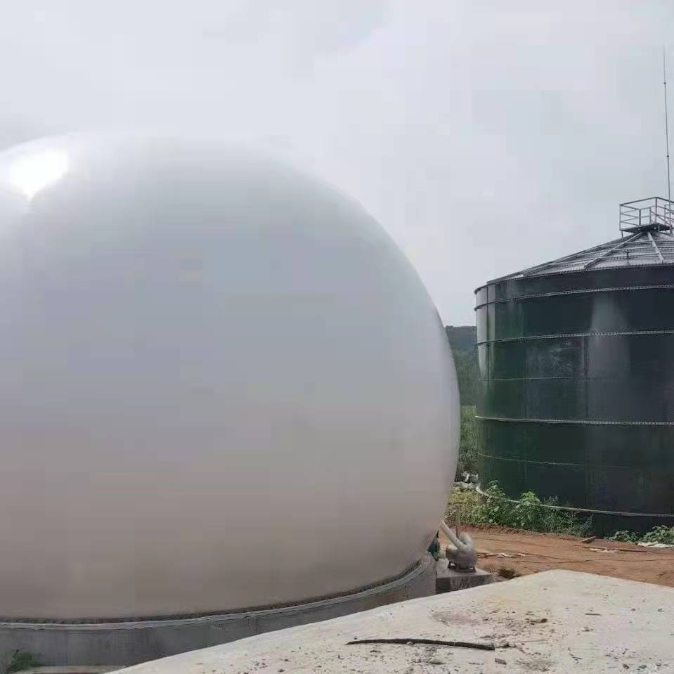 双膜气柜